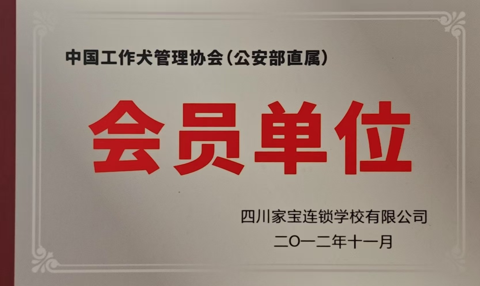 会员单位