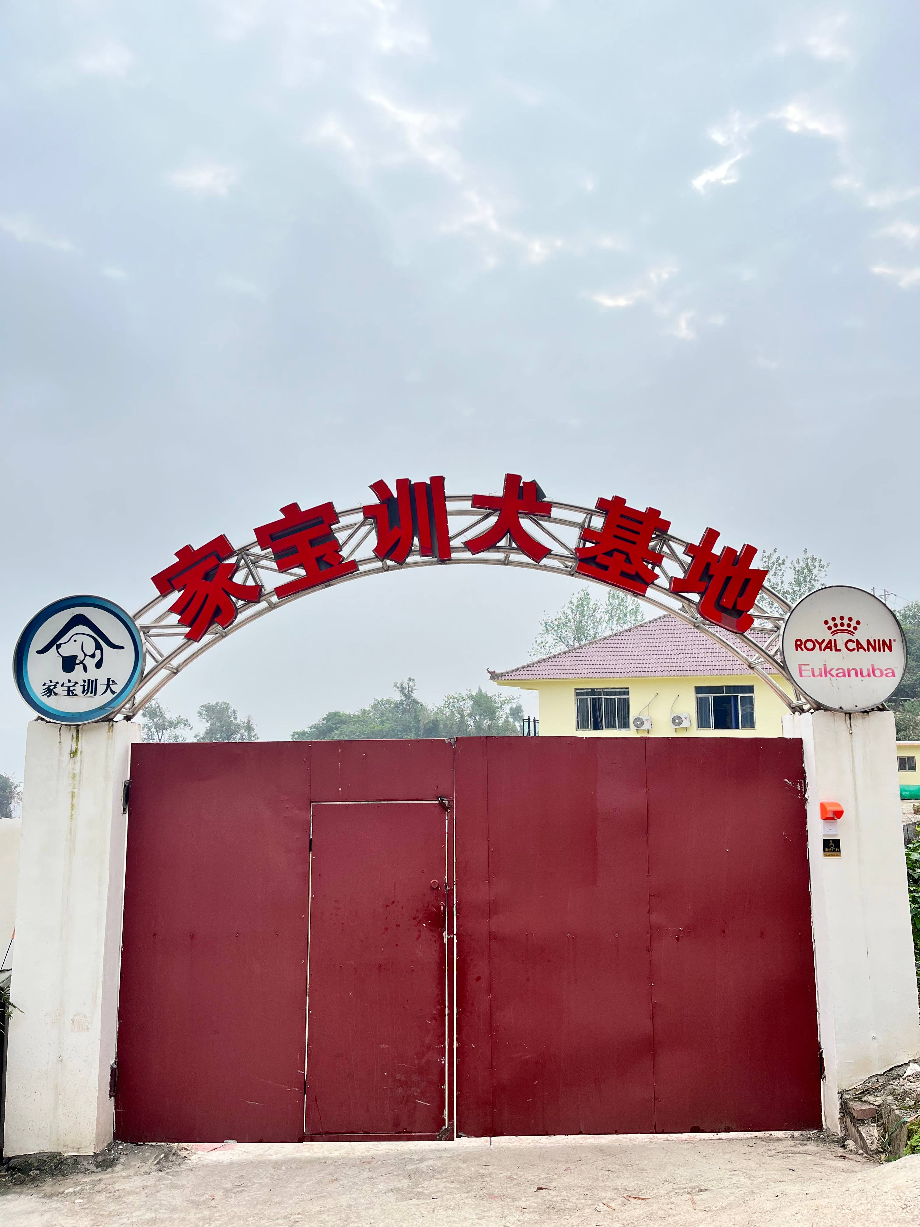 重庆家宝训犬学校