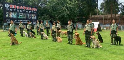 训犬团队