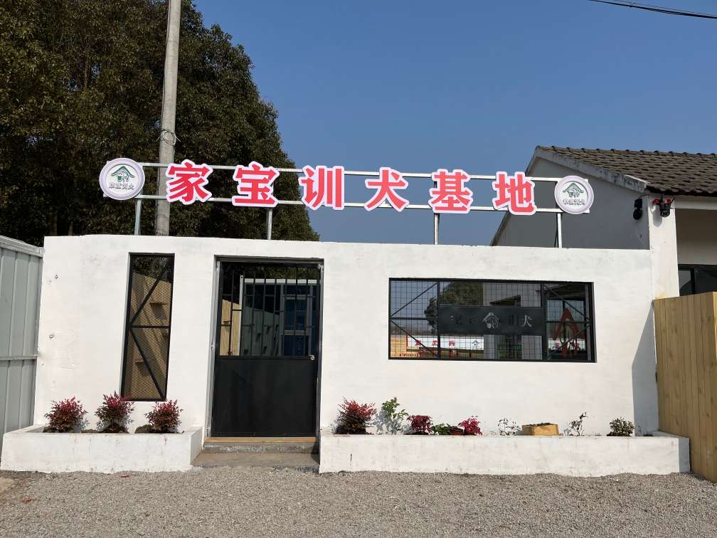 苏州家宝训犬学校
