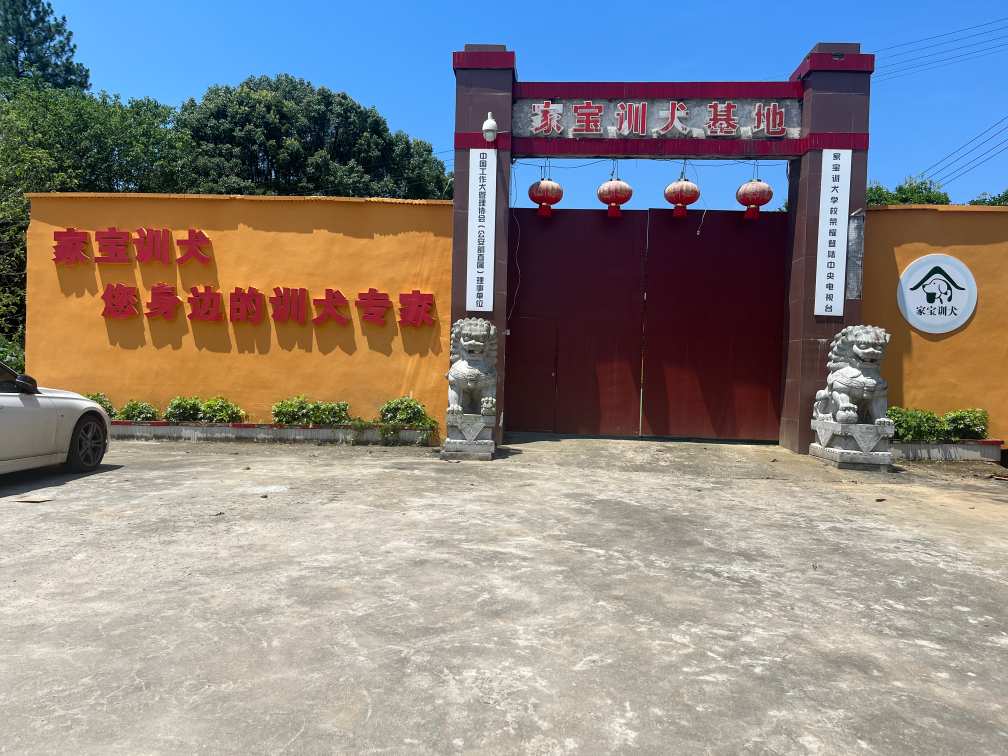长沙家宝训犬学校