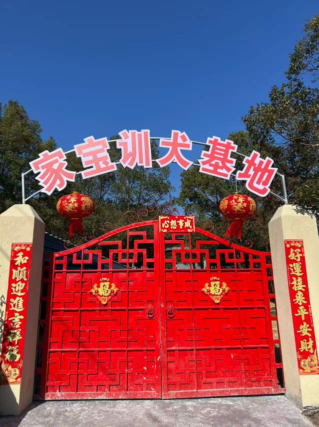 宁波家宝训犬学校