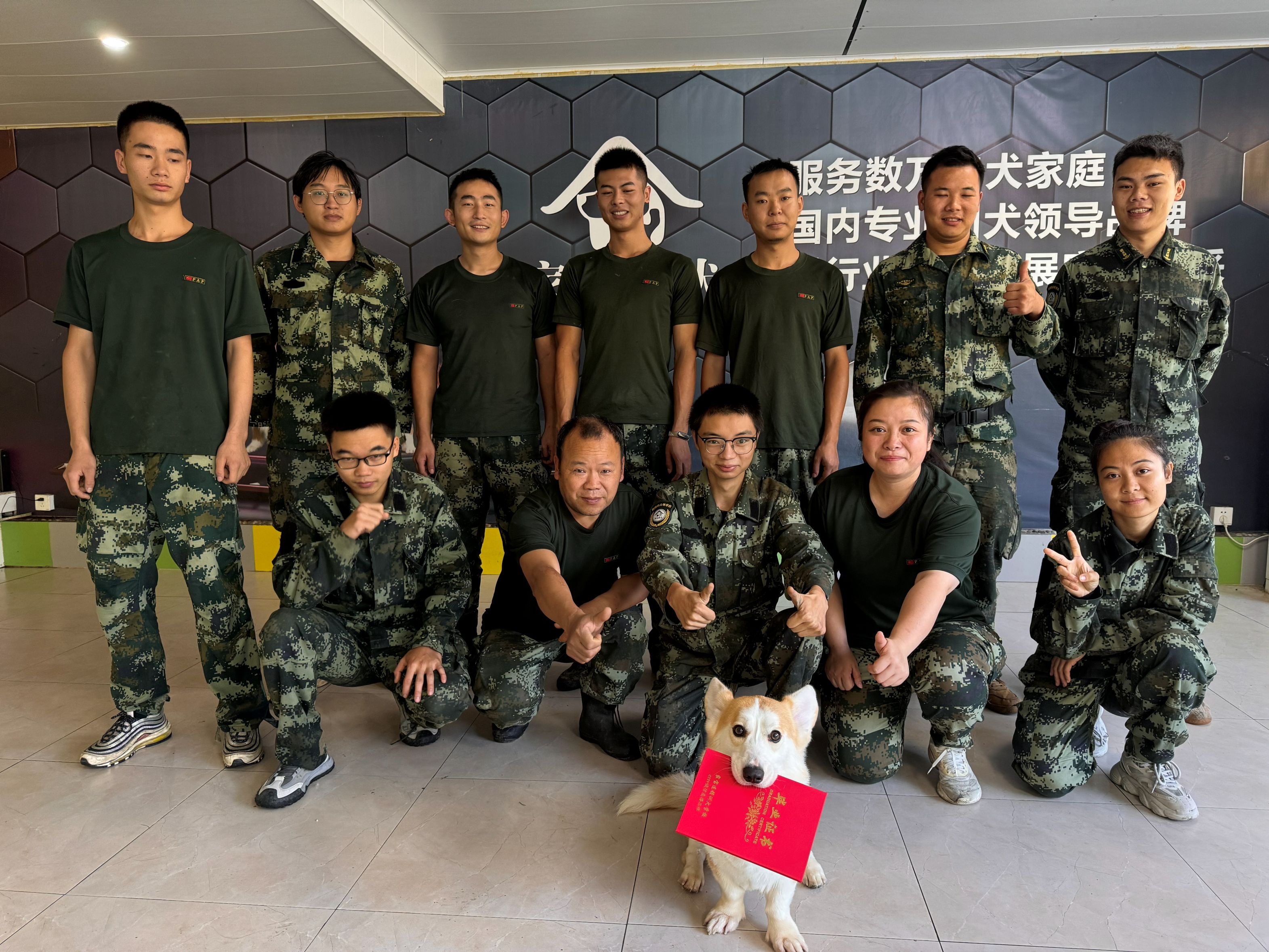 关于家宝训犬的品牌实力介绍&zwnj;｜家宝成都犬类行为科学研究所狗狗训练