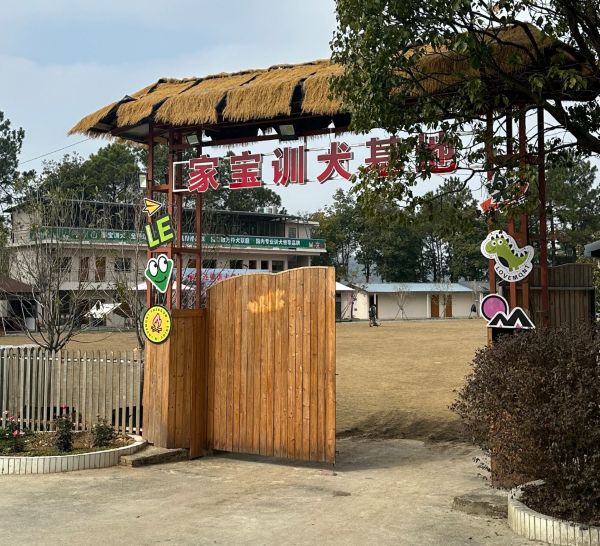  从&ldquo;撒手没&rdquo;到&ldquo;随行乖宝&rdquo;：一场关于信任与陪伴的双向奔赴